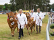 Malton Show 2024